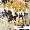 PartyWoo Gold Crepe Paper Streamers 4pcs 328ft Pack of Gold Crepe Paper for Wedding Birthday Baby Shower Engagement Anniversary New Year Eve Graduation Party Decorations(1.8 Inchx82 Ft/Roll) #1