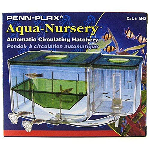 Finding the Best Fish Breeding Box