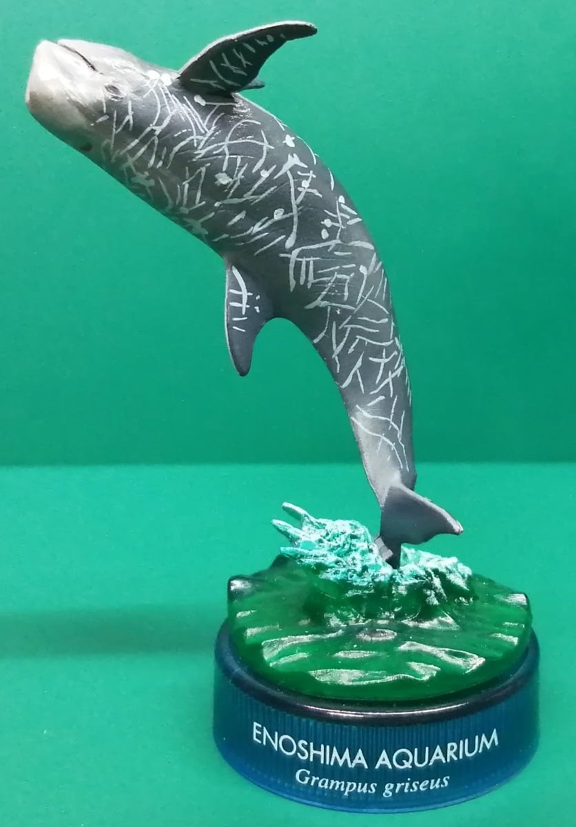 水生生物　フィギュア Amazon.co.jp: 海洋堂 新江ノ島水族館 立体生物図録