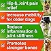 Hemp Chews for Dogs - Glucosamine Chondroitin for Dogs Joint Pain Relief with Hemp Oil, Hip & Joint Supplement Dogs, MSM Turmeric for Dogs Mobility, Dog Joint Supplement, Hemp Dog Treats Joints Health