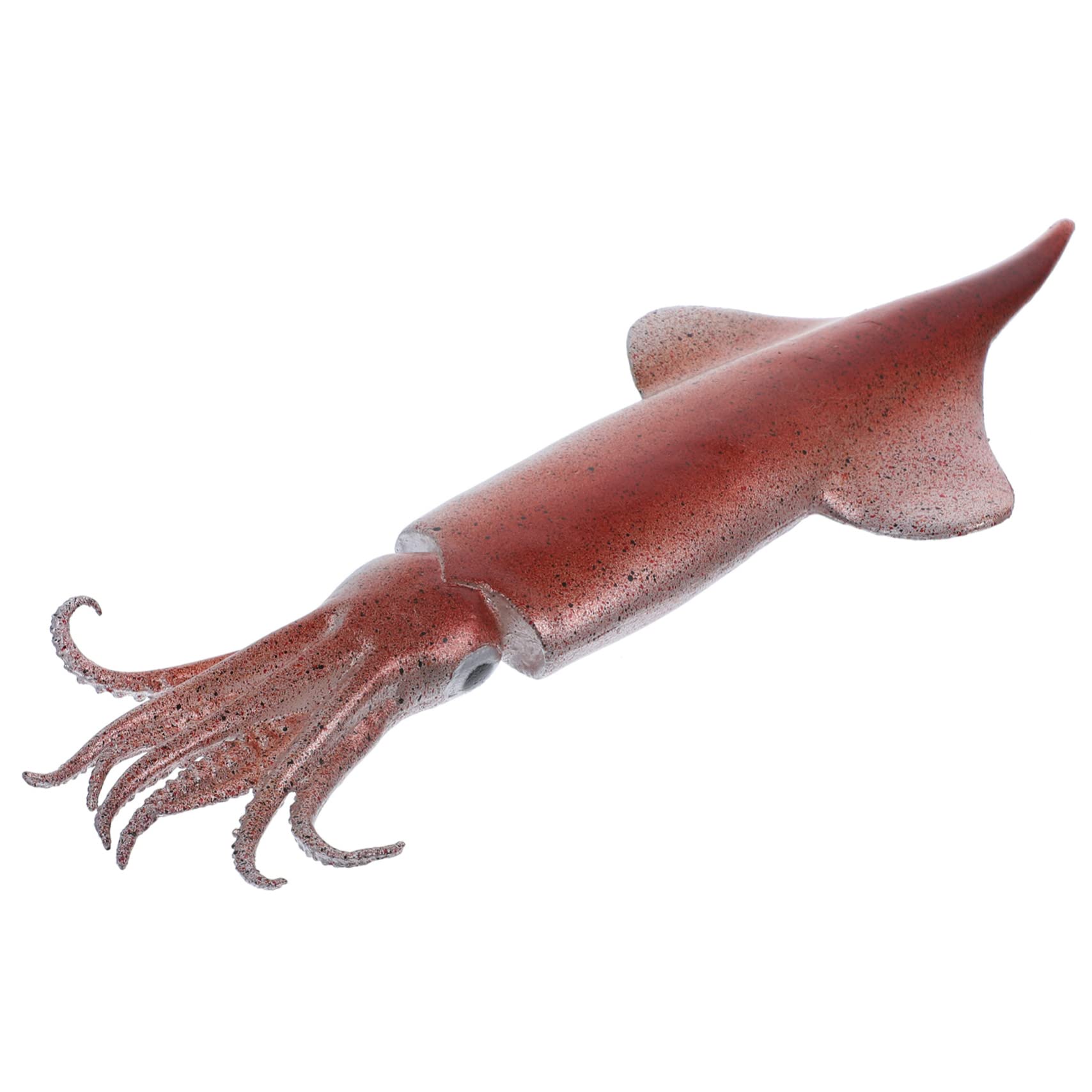 Amazon.co.jp: Gogogmee リアルなイカの模型 フェイクスキッド 人工