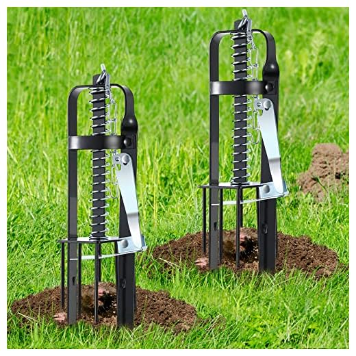 2 Pcs Mole Trap for Lawns, Spear Style Mole Killer for Garden Yard Outdoor, Alloy Steel Mechanical Gopher Vole Traps, Quick and Clean