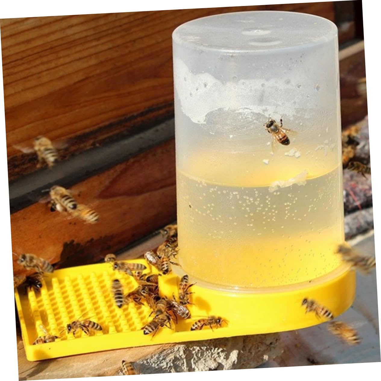 8 Pezzi Mangiatoia per Api Portatile Distributore per Allevamento Apistico Design Professionale Accessorio per Beekeeping Facile da Usare