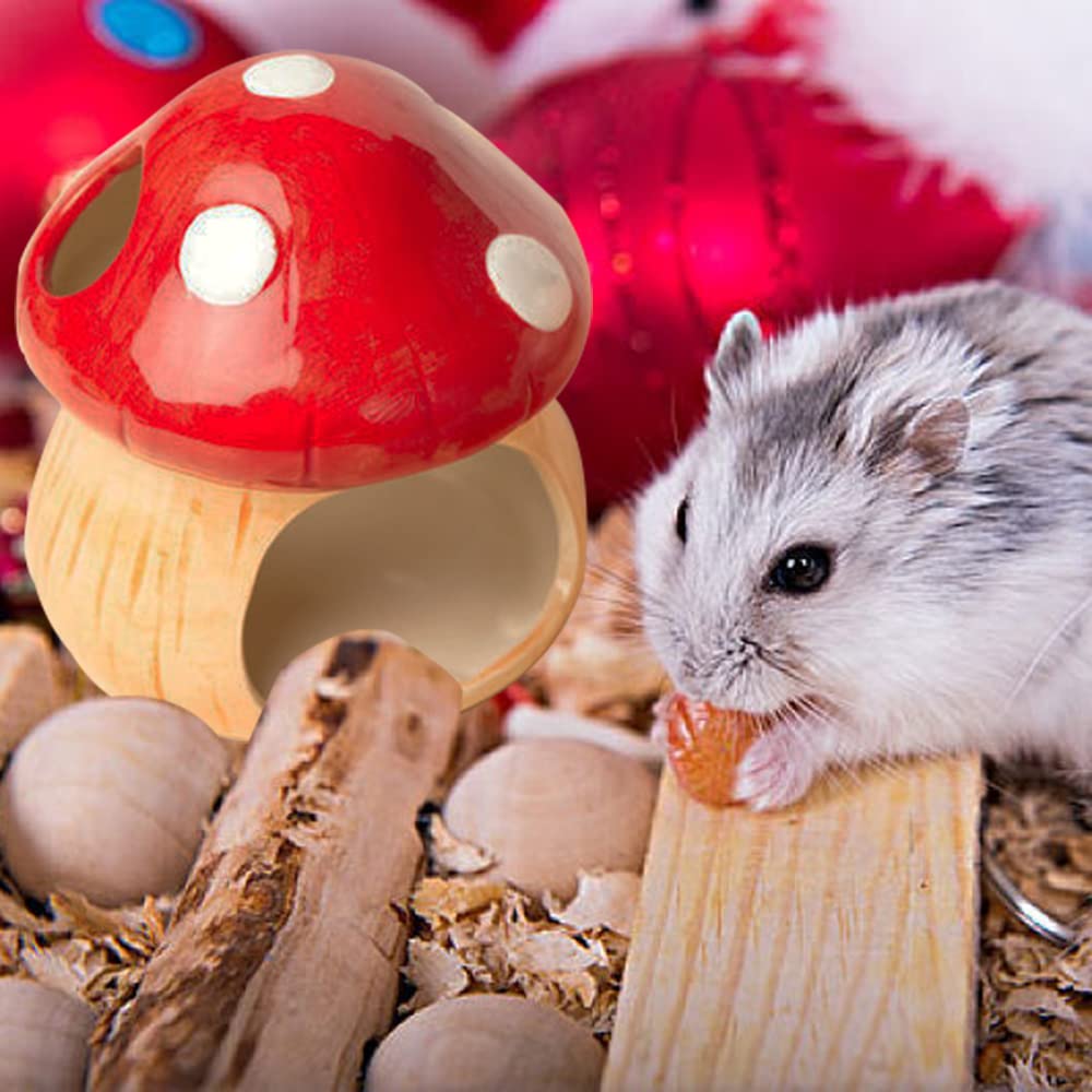 Maison de Hamster en Céramique, Cachette Champignon avec Gamelle, Refuge Frais pour Hamsters Nains, Gerbilles, Souris et Hamsters Dorés (Pet Nest+Pet Bowl)