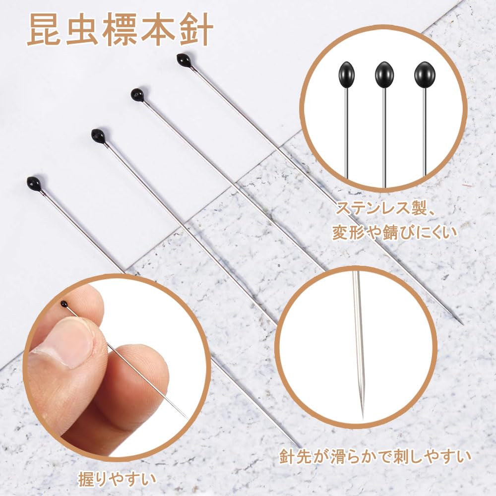 Amazon.co.jp: 虫ピン 昆虫標本針 約100本 ステンレス 昆虫針 Amazon.co.jp: 虫ピン 昆虫標本針 約100本 ステンレス 昆虫針