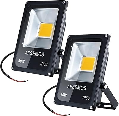AFSEMOS 30W Outdoor LED Low Voltage Warm White Floodlight, 12V DC Outdoor LED Security Flood Light, IP66 Waterproof Super Bright Work Light for Backyard, Lawn, Street Guardrail (2 Pack)