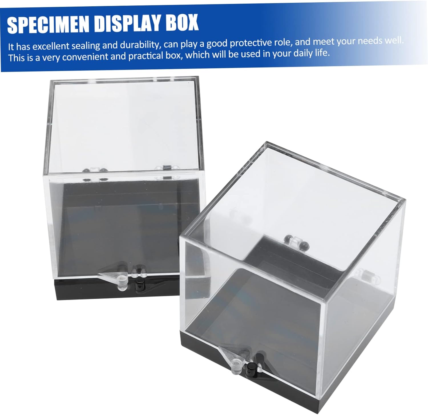 8Pcs Transparent Square Plastic Mineral Specimen Storage Boxes with Black Bottom Display Containers for Crystal and Rock Collections