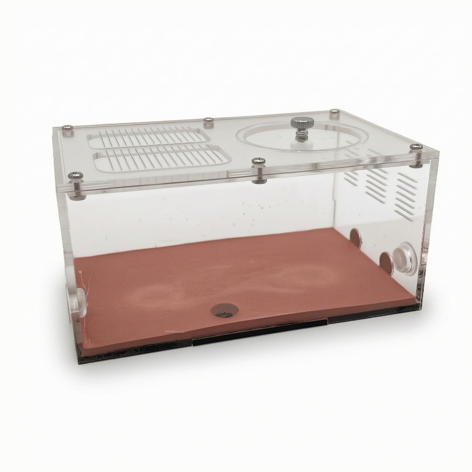 Hormiguero Modular Expandible Hormiguero Acrílico Transparente Formicario con Área Observación para Principiantes, Escuela, Área De Actividad