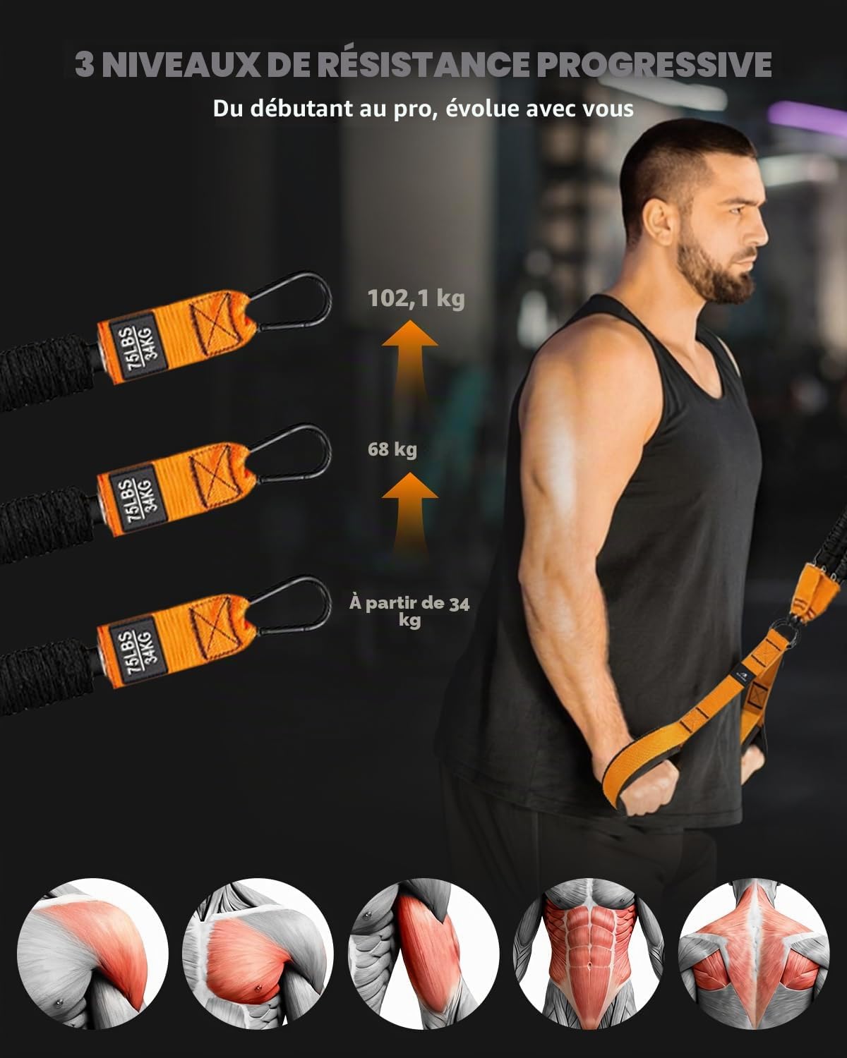 Abahub Kit de Bandes Triceps avec Ancrage Porte Réglable 75 à 225 Tricep Pull Down Bande Fitness pour La Maison, L'Entraînement des Bras Et Les Exercices de Musculation, avec PoignéEs