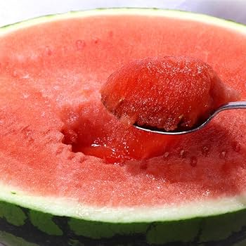 超高級種無しスイカ　スイカっちゃん　立体栽培　3L2玉セット 超高級種無しスイカ スイカっちゃん 立体栽培 3L2玉セット