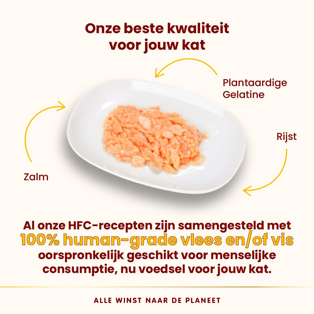 Almo Nature HFC Jelly Megapack, mokra karma dla kotów - łosoś (6 puszek 70 g)