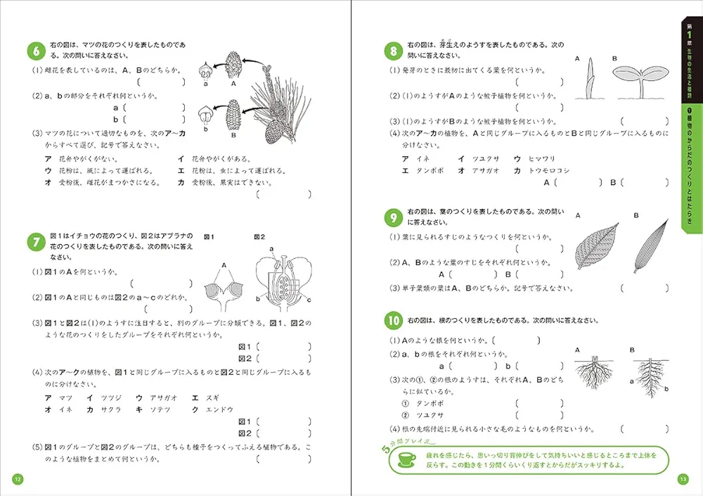 中1　問題集　第一出版　マイロード 91yNdS2BxZL.jpg