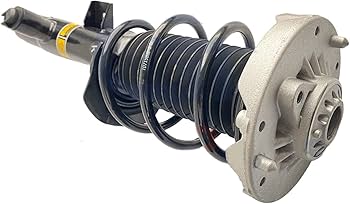 Amazon.com: YWEISPART Pair Front Left Right Shock Strut Assys w