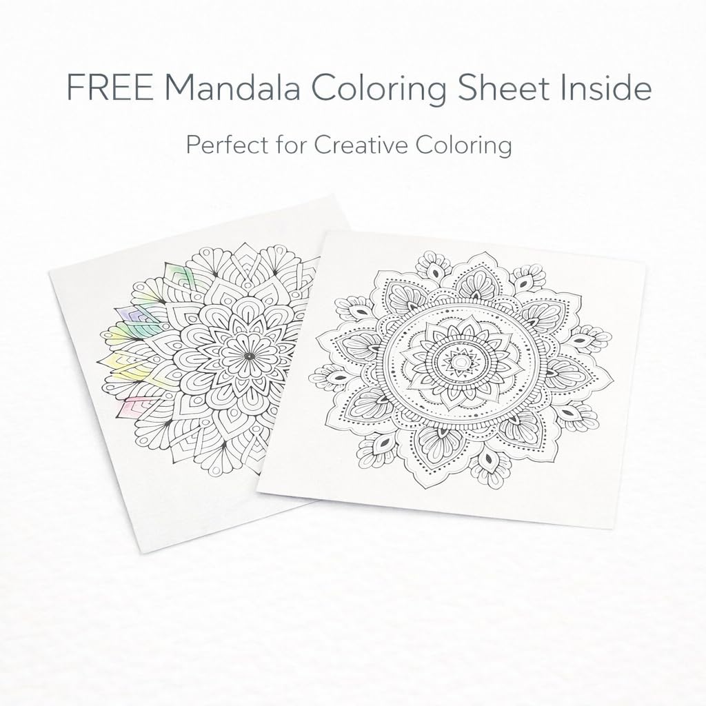 Luxor Doodles Brush Pens with FREE Mandala Art Kit | 13 Shades + Blender | Ultra Soft Tip for Calligraphy, Coloring & Doodling 2