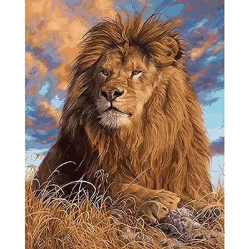 Peinture diamant 5D lion symboles lisibles kit toile adhésive 30x40