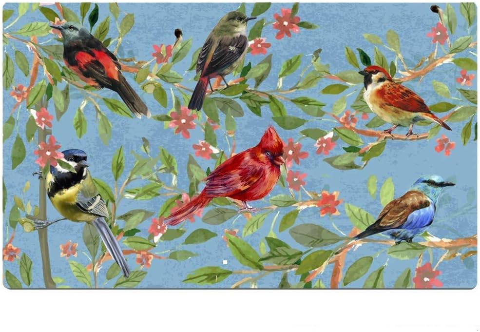 Welcome Door Mat Outdoor Indoor Enty Floor Mat Decorative Bird Print Entrance Rug Non Slip Rubber Doormat Dirt Trapper
