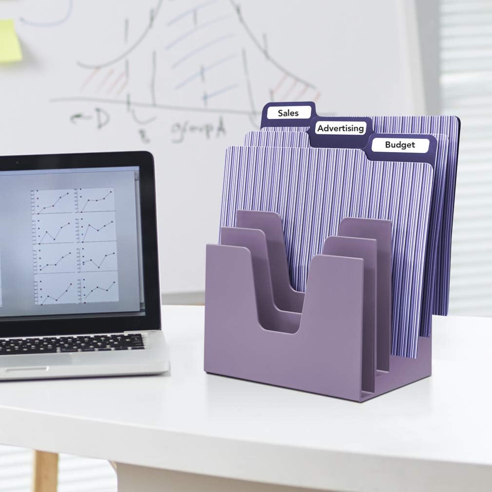 Acrimet 5 Section Incline File Sorter Organizer, Mail, Folder, Letter Desk Organizer, Rack for Office Organization Desktop (Plastic) (Solid Purple Color)
