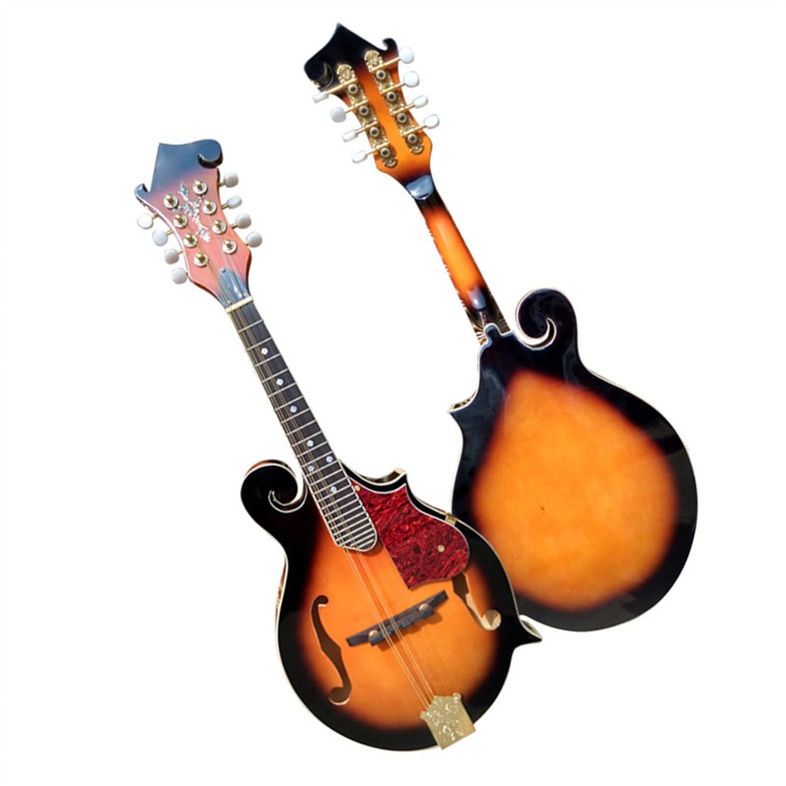 【カメ】エレキマンドリン ローズウッド指板（ソリッドボディ） Amazon.co.jp: マンドリン楽器 8弦エレクトリックマンドリン