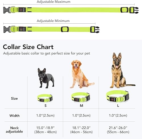 Miniatura 7 de Colaseeme Collar de perro con luz LED, recargable con micro USB, correa de nailon ajustable, hebilla de plástico, anillo D, collares básicos de