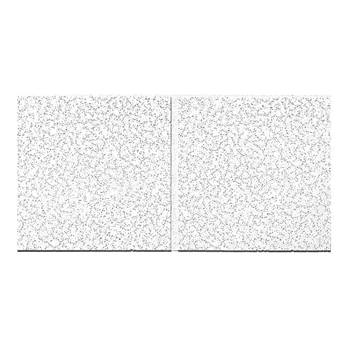 Armstrong Ceiling Tiles; 2X4 Ceiling Tiles - 10 Pcs White Ceiling Tiles; Acoustic Ceilings For Suspended Ceiling Grid; Cortega Second Look 2767 #TOP2