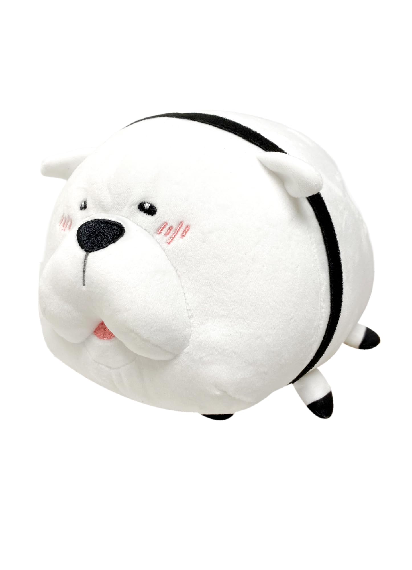 Amazon.com: Great Eastern Entertainment Spy X Family - Bond Forger