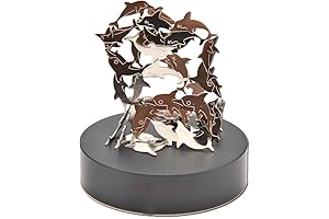 PowerTRC Magnetic Sculpture - Artistic Expression on Your Desk