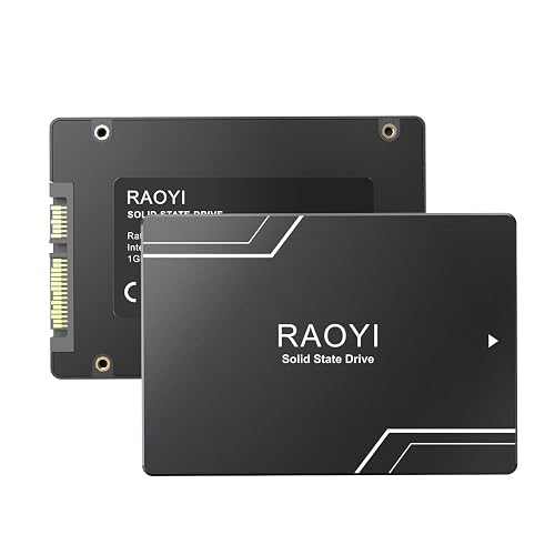 RAOYI 256GB SATA III 2.5 Internal SSD