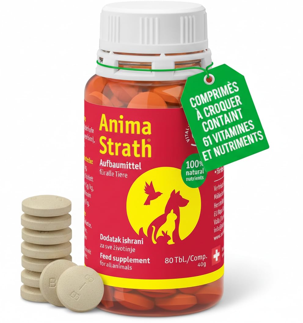 Anima Strath Complément Alimentaire pour Chiens - (80 Comprimés) 61 Nutriments, Vitamines, Minéraux, Acides Aminés, Complément Naturel pour Le Système Immunitaire et la Digestion.