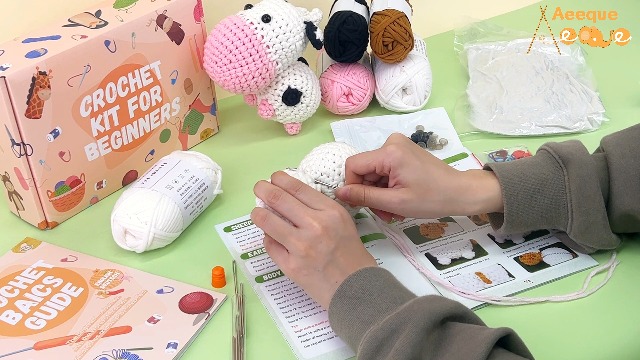 Kit de crochet pour adultes débutants, kit de crochets, kit de