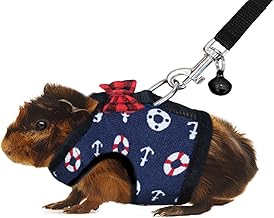 guinea pig outfits amazon