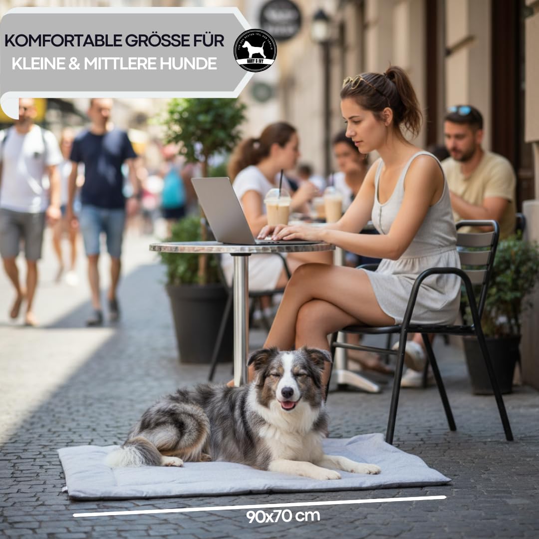 Abby&Ivy Hundedecke für Unterwegs 90x70cm- Faltbare Hundematte & Hundekissen, Waschbar, rutschfest, Outdoor Hundebett für Reisen, Camping, Auto & Büro, Decke für kleine und mittlere Hunde