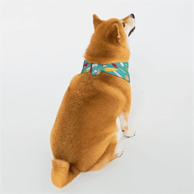 Foto 2 de 8 de Pañuelos para Perros de Hongos, Bufanda Triangular Reversible para Mascotas para niños y niñas