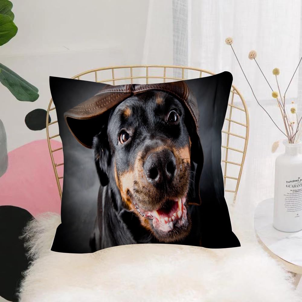 HYMSXW Cushion Cover,Throw Pillow Case Home Decorative for Living Room Bedroom Sofa Chair 20X20 Inch,Female of a dog of breed a Rottweiler in a cap.,Pillowcase 50X50cm