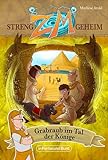 ZM - STRENG GEHEIM: Band 2: Grabraub im Tal der Könige - Marliese Arold 