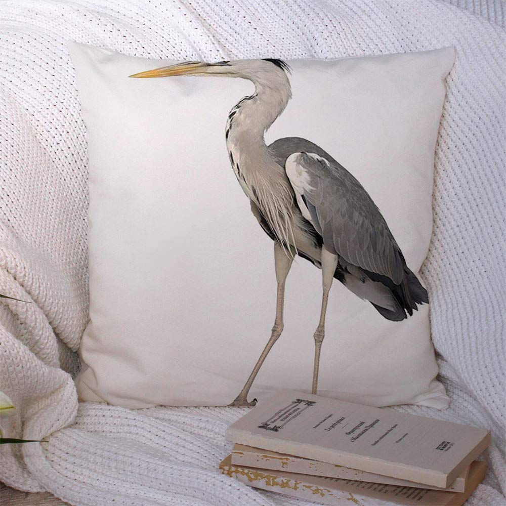 Decorative Throw Pillow Case White Grey Heron Standing Ardea On Cinerea Animals Wildlife Bird View Cut No Nobody Out Wild One Cushion Cover Pillowcase for Lumbar Home Decor 16x16 Inch