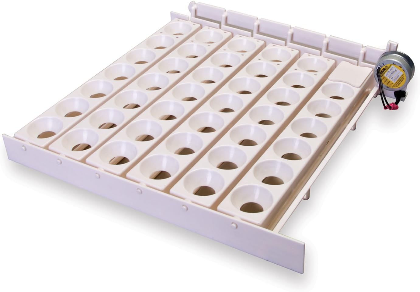 Automatic Egg Turner | 41 Eggs | Equipment for Incubating Large Eggs | Hatching Chicks