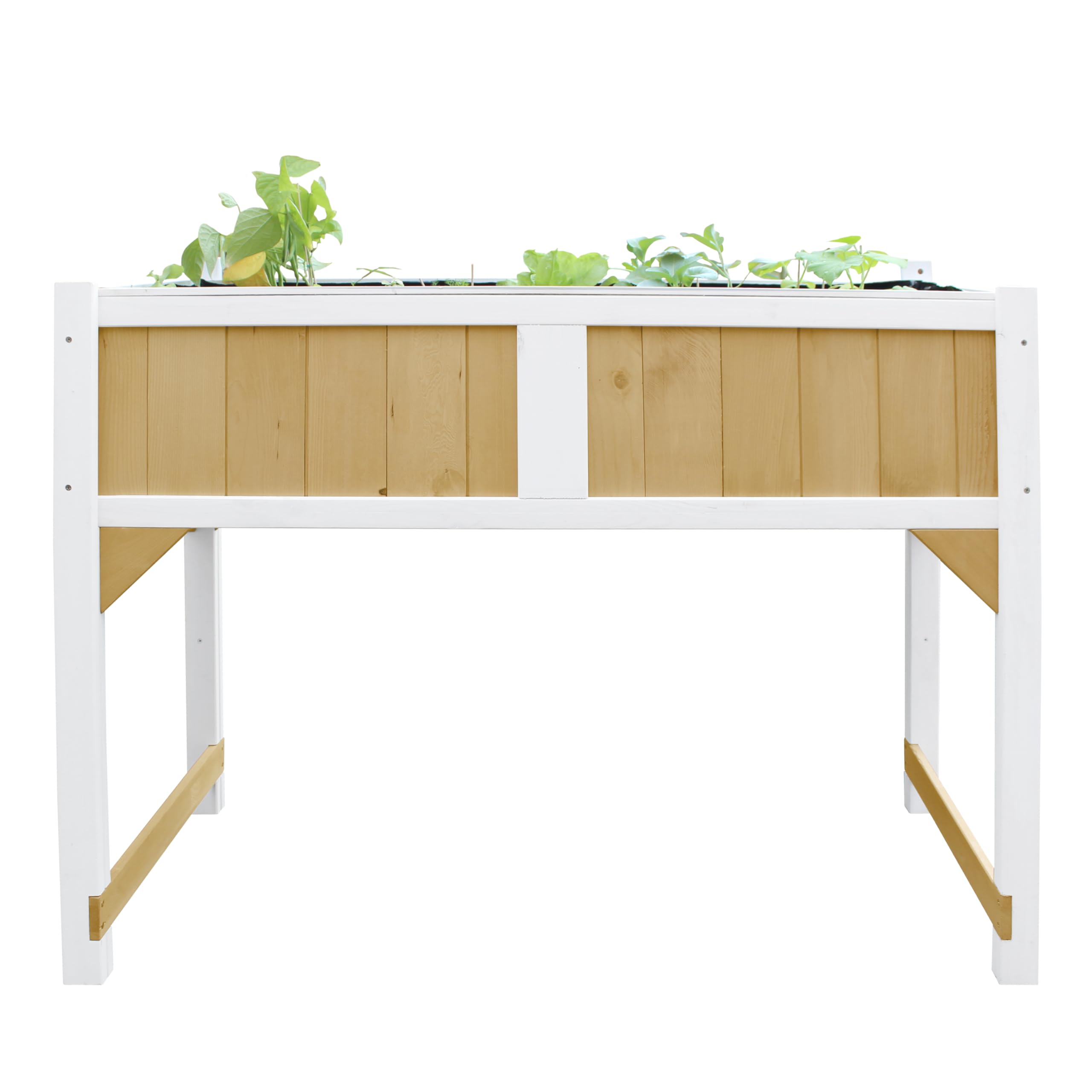 AXI Table De Culture en Bois avec Bac & Voile De Jardin | Potager sur Pied/Jardinière en Marron & Blanc
