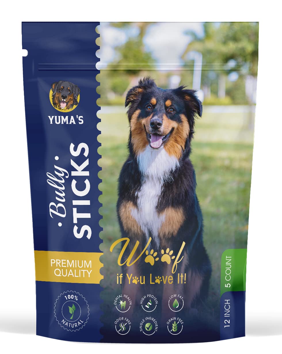 Do Bully Sticks Clean Dogs Teeth