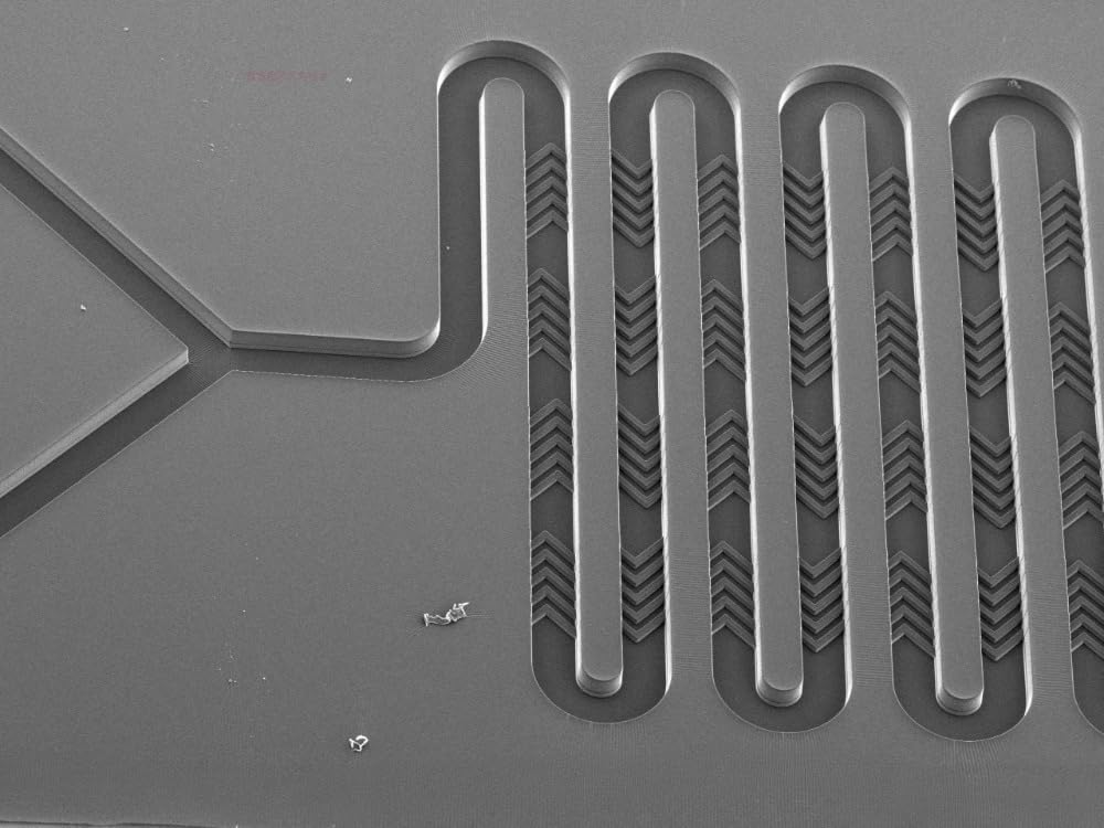 1pc microfluidic bilayer fishbone chip LNP nanoparticle generation chip mRNA bio chip photolithography customization (LNP C02 Fish bone bulge)