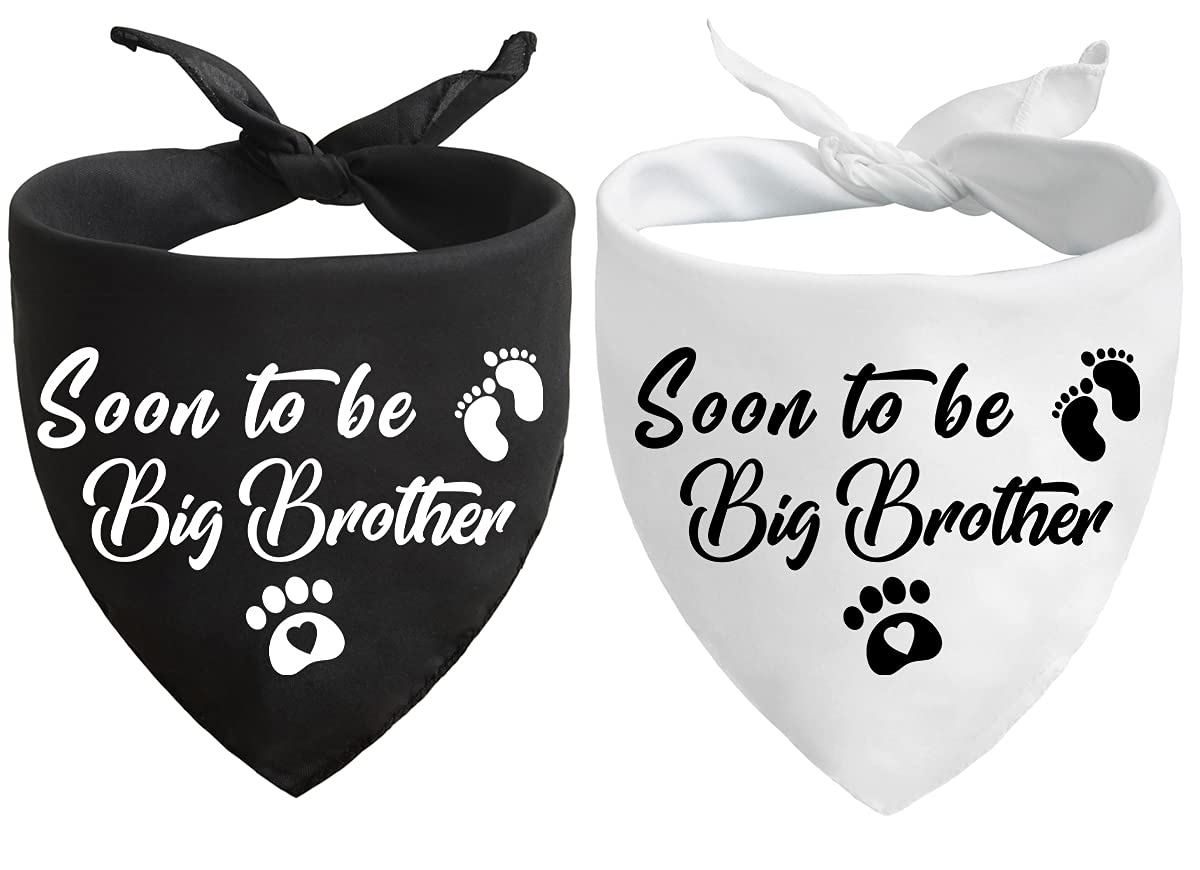 Shirube特別価格Soon to Be Scarf Bandanas, Photo Big Blue Dog 好評販売中 Brother