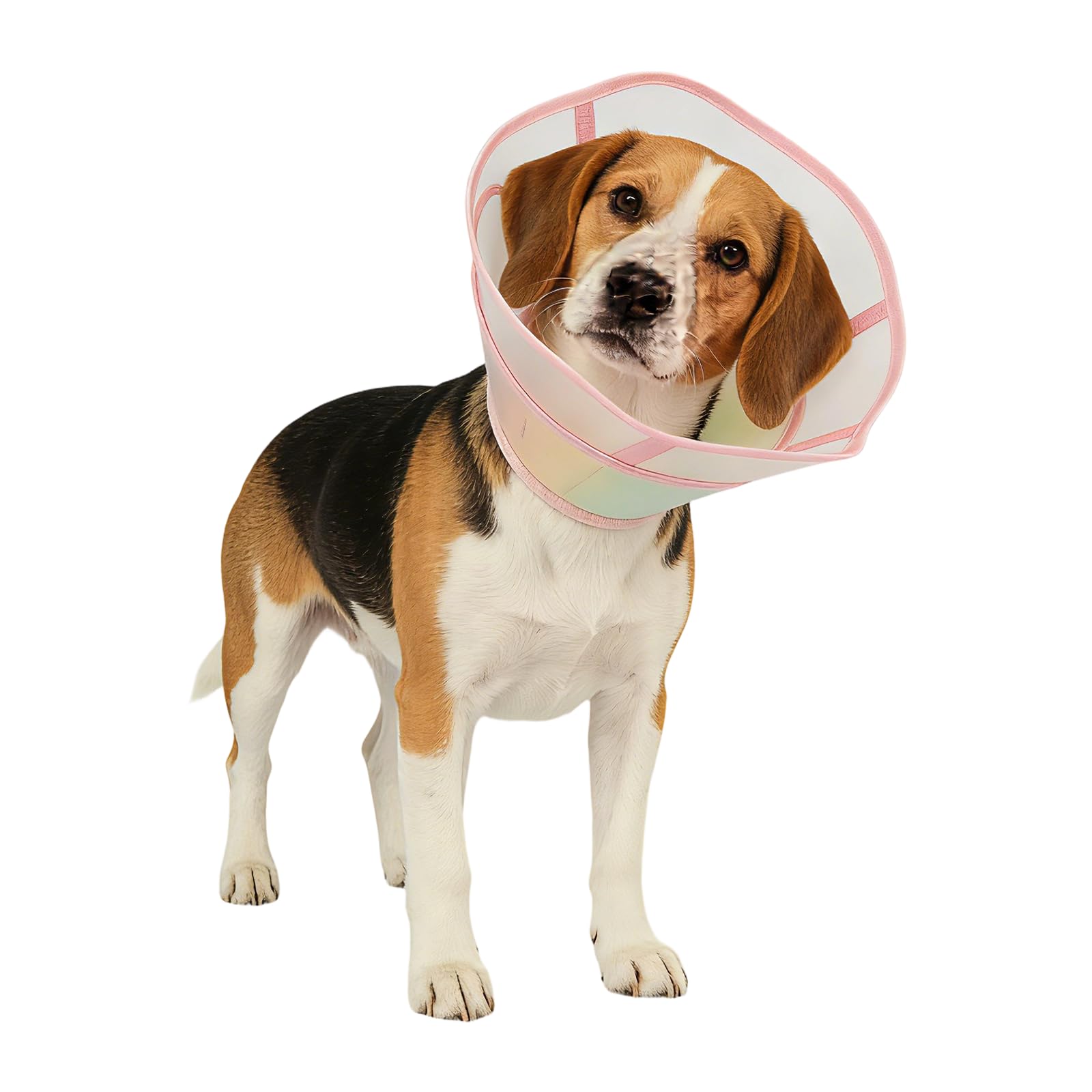 Soft Dog Cone Collar, wasserdicht und klappbarer Elizabethan-Kragen für Hunde nach der Operation, kein Leck Recovery E-Kragen, Bequeme Schutzkegelalternative für große Hunde (Pink, XS)