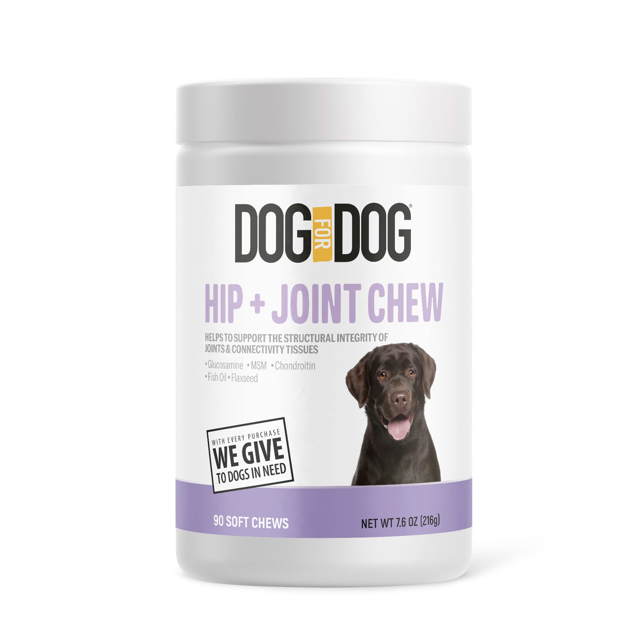 When Should You Start Giving Your Dog Joint Supplements