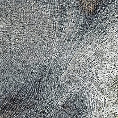 Suspenders and a Bow Tie Suspenders and a Bow Tie