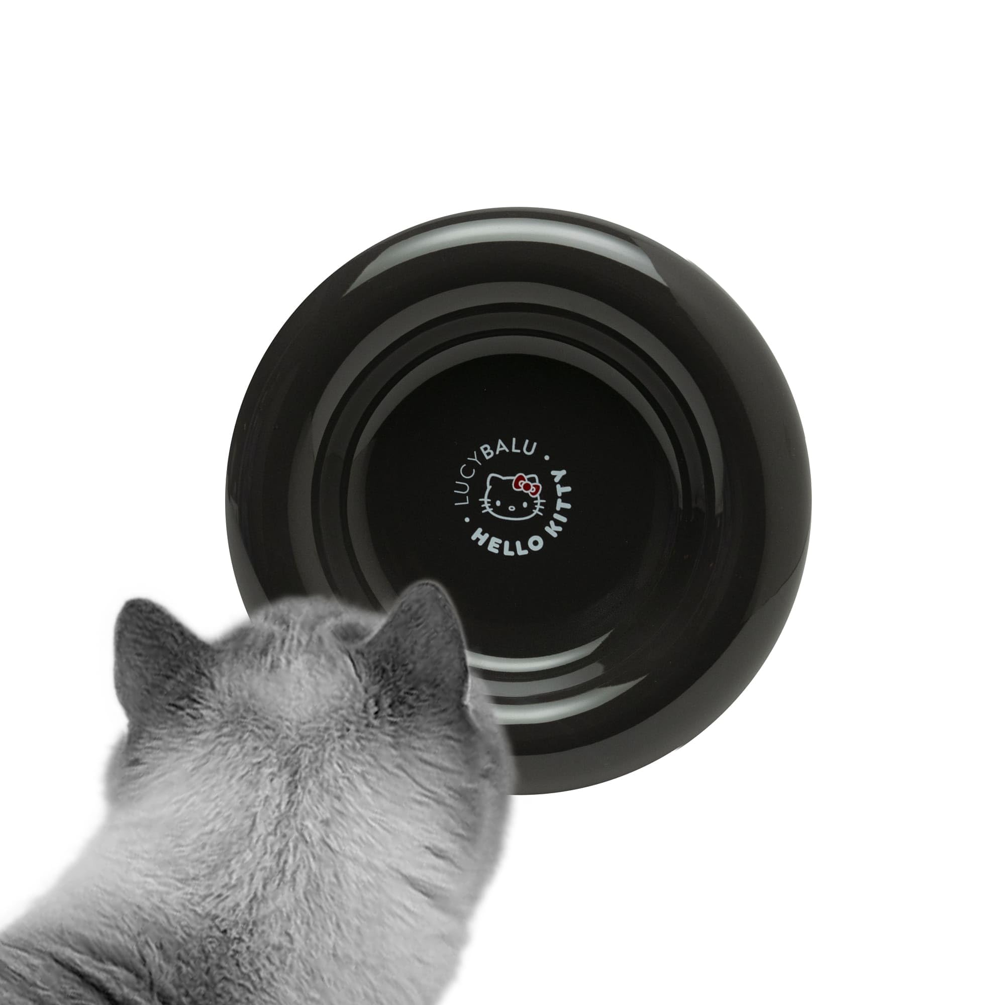 LucyBalu Hello Kitty Drop Porcelain Cat Bowl - Raised Cat Feeding Bowl & Water Bowl - Porcelain, Easy to Clean, Dishwasher & Microwave Safe - Black