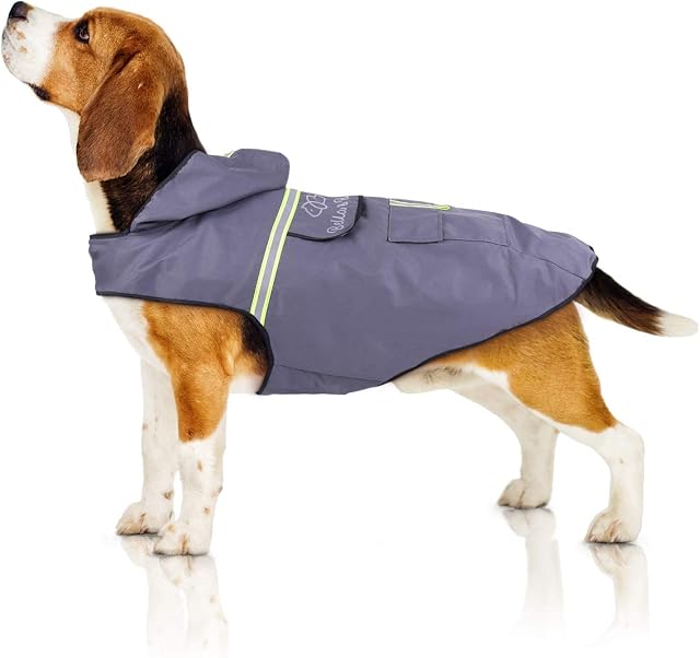 Bella & Balu Dog Raincoat - Waterproof dog coat with hood and reflectors for dry, safe walks, the dog playground and holidays with dog (M | Grey).