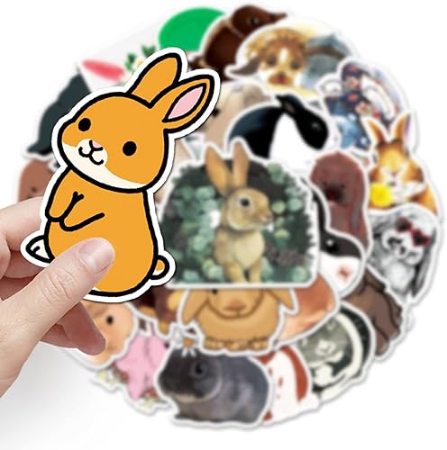 Lindas 50 calcomanías de conejo de dibujos animados, calcomanías de conejo, vinilo impermeable, paquete colorido surtido para niños, adolescentes,