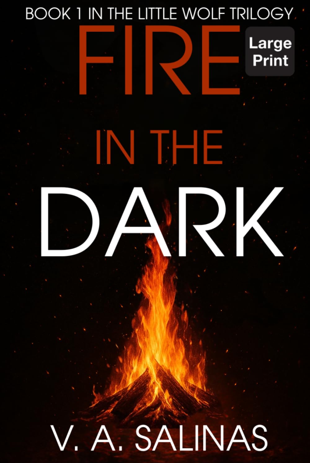 Fire in the Dark (LARGE PRINT) (The Little Wolf Trilogy (LARGE PRINT EDITIONS))