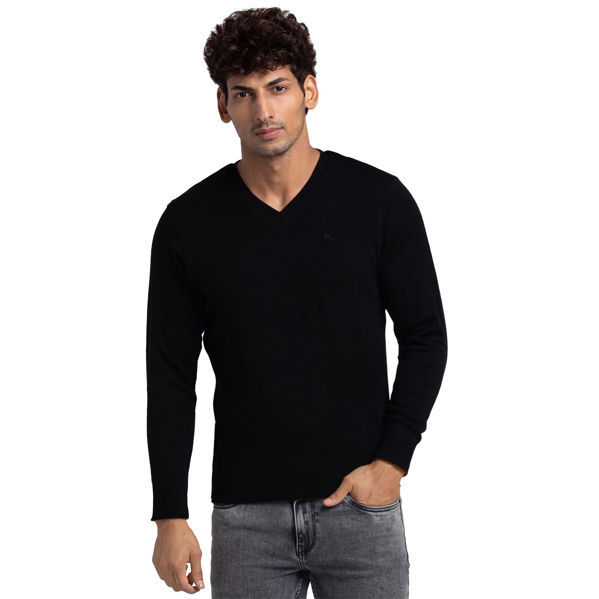parx Men Regular Fit Solid Pattern Pure Acrylic Full Sleeve V Neck Casual Sweater-picture-39