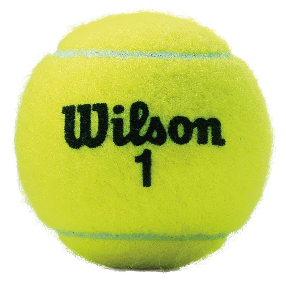 Wilson Championship Extra Duty Tennis Balls