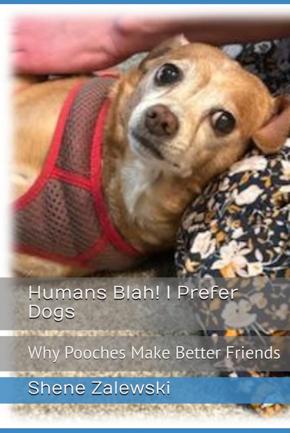 Humans Blah! I Prefer Dogs: Why Pooches Make Better Friends